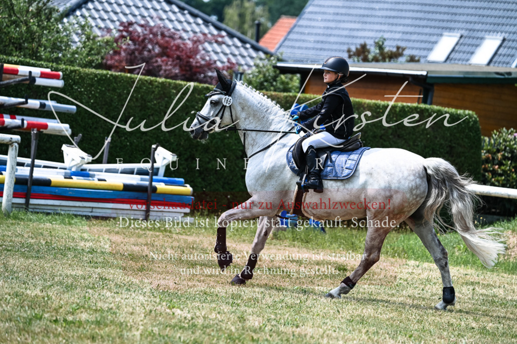 DSC_9811 | Pferde- und Turnierfotografie in Westsachsen. Pferdeportraits, Auftragszeichnungen und intuitive Kunst.