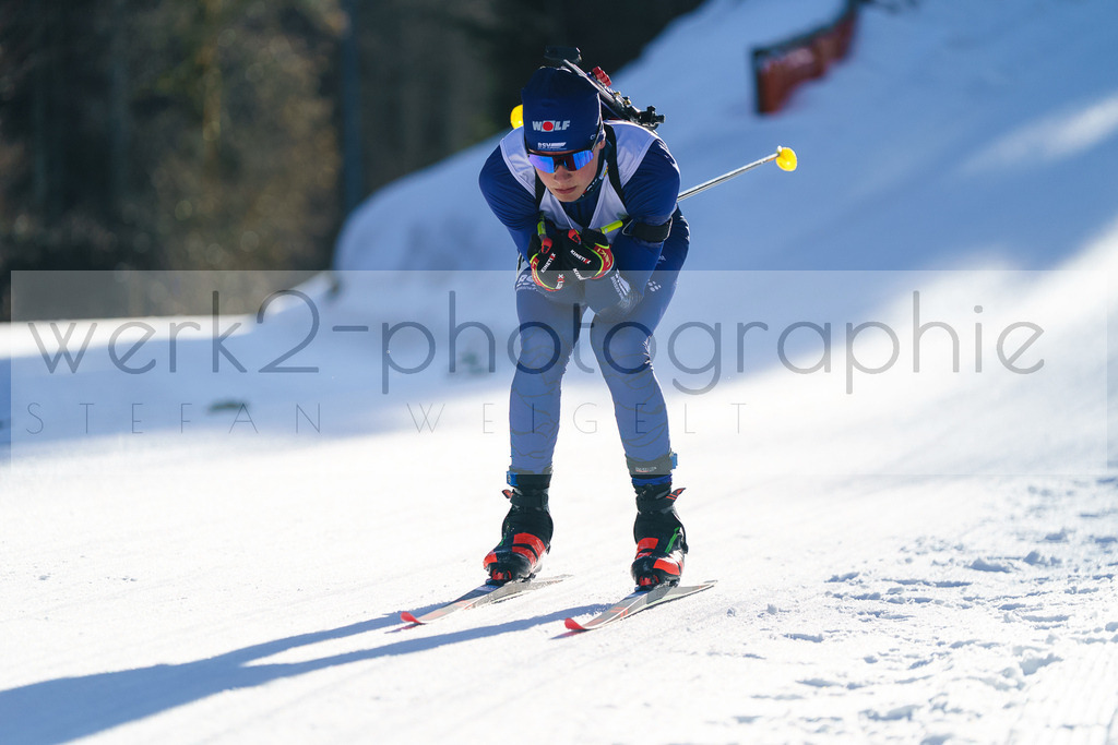 FESA Alpencup / DP Notschrei | Deutschland Pokal Finale im Schwarzwald NORDIC-CENTER Notschrei am 7. - 8. Februar 2026