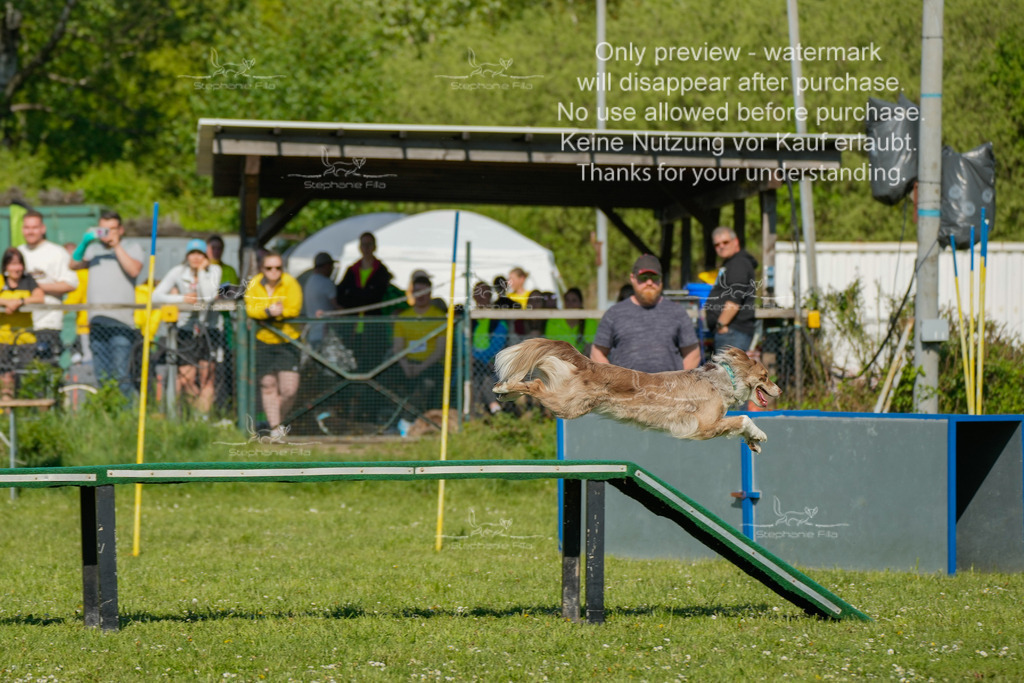 Sa_CSC-133 | stephaniefillaphotographie - Realisiert mit Pictrs.com