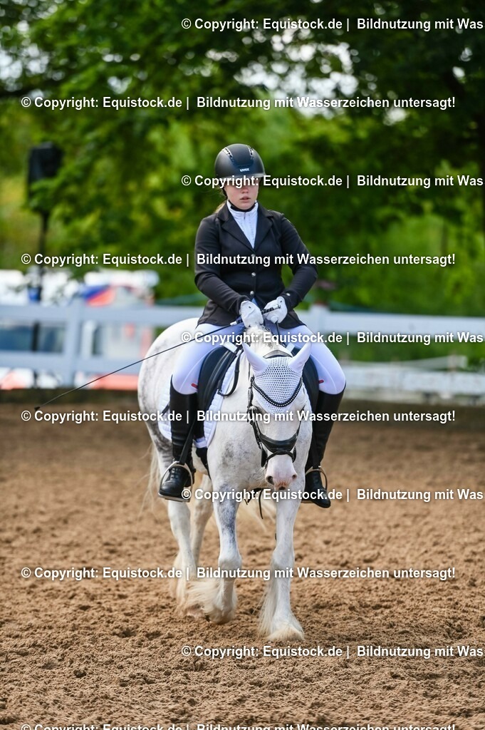 20230716_04_Dressurreiterprüfung Kl.A_0419 | equistock