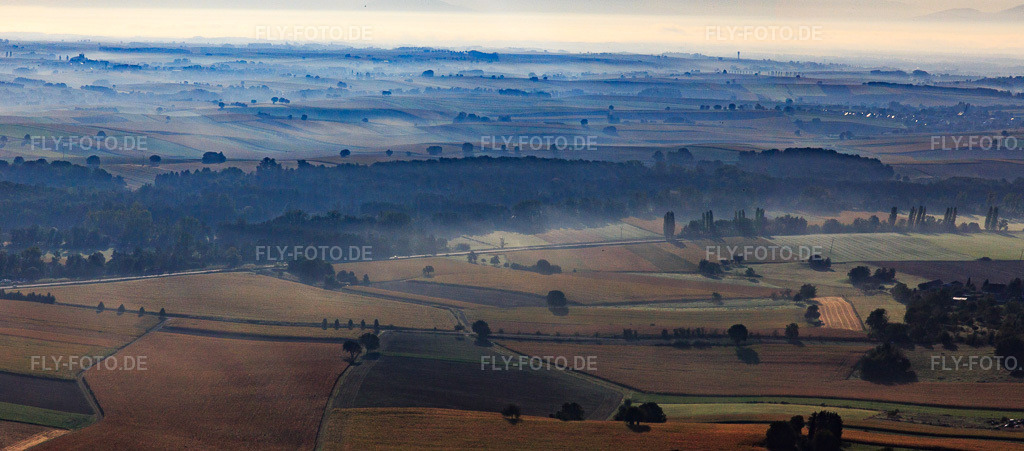 Luftbild: Wald am Morgen von Westen in Riedseltz im Bundesland Bas-Rhin in Frankreich. – Foto: IMG_139243-Pano.jpg vom 01.10.2023 durch Werner Riehm/FLY-FOTO.de – Auflösung des Originals: 7638 x 3367 px