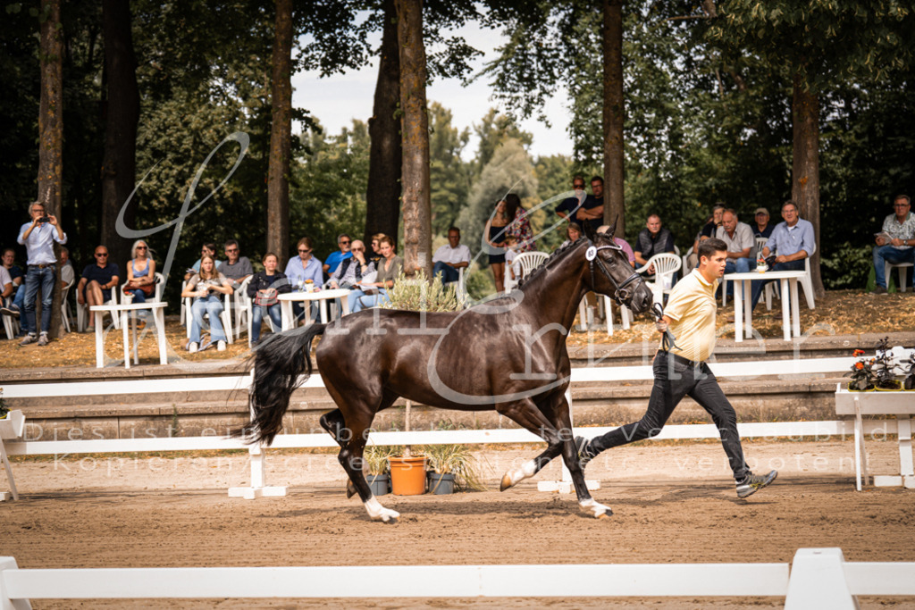 4.Fr00181 | Leoni Ertmer Photography - Realisiert mit Pictrs.com