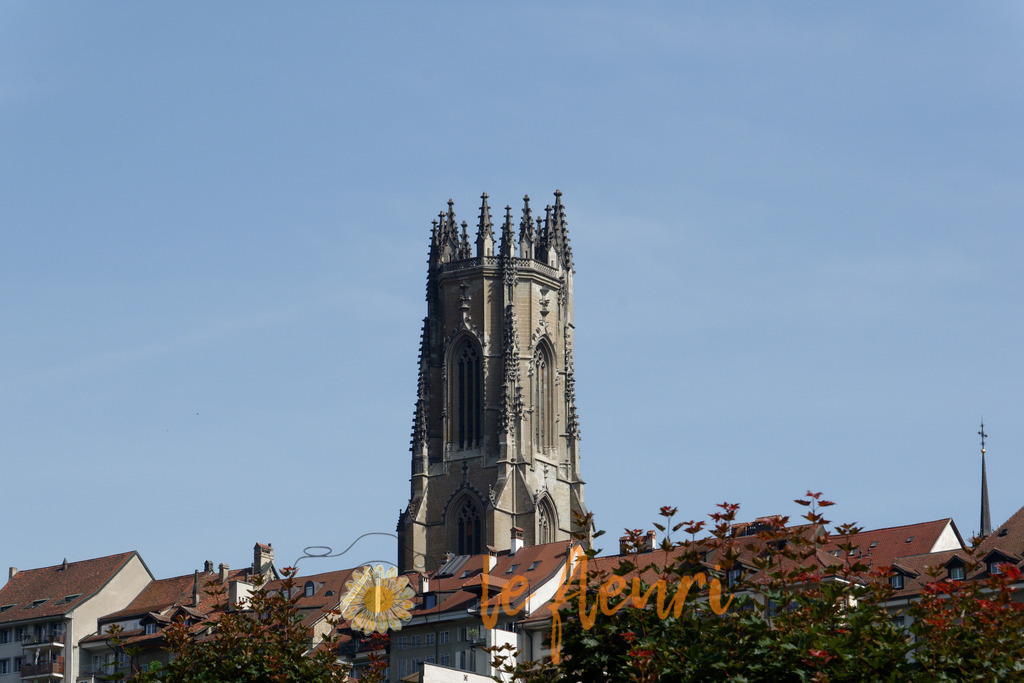 DSC_0001-NEF_DxO_HQ | Dies ist der Shop von Florian Blum - le fleuri. Langenthal, Bern, SchweizSie können hier meine oder ihre eigenen Fotos als Fotoprodukte kaufen. Tassen, Schlüsselanhänger, Taschen etc. können Sie hier gestalten.  - Realisiert mit Pictrs.com