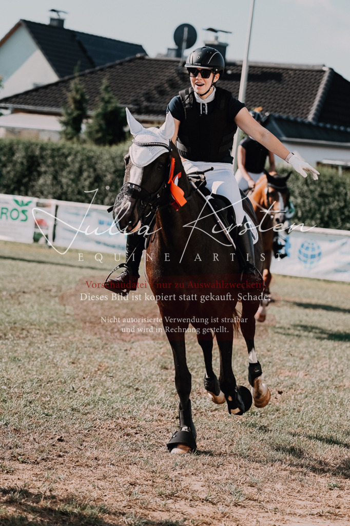 DSC_4948 | Pferde- und Turnierfotografie in Westsachsen. Pferdeportraits, Auftragszeichnungen und intuitive Kunst.