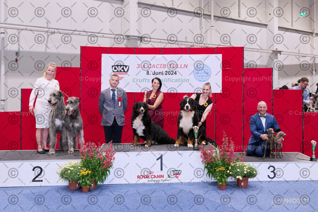 202406_ÖKV-IHA-Tulln24_NZ9_8627 | proPHOTO - Realisiert mit Pictrs.com