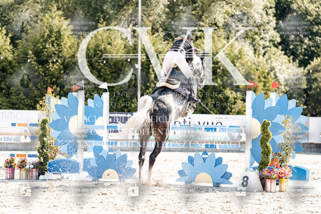 CK902644 | Turnierfotografie Pferdefotografie Trier Rheinland-Pfalz Pferdesport Reitsport Tierfotografie Sportfotografie Pferdevideo Pferdevideografie Equestrianvideography equestrianphotography  - Realisiert mit Pictrs.com