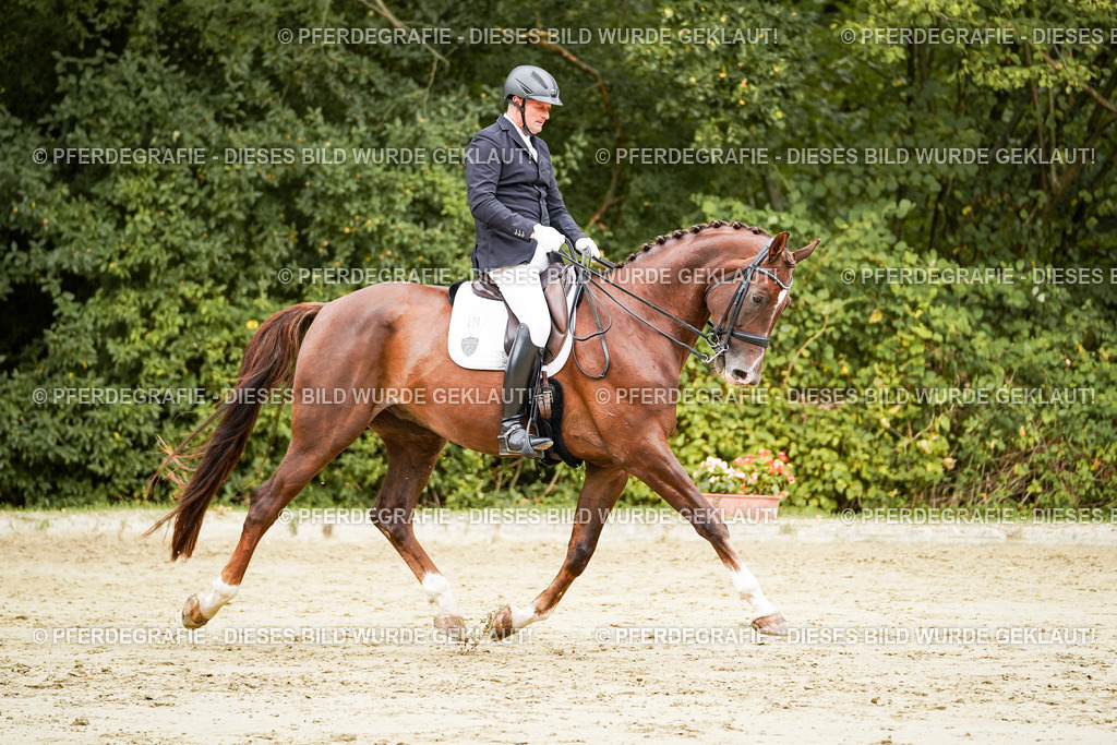 DSC03688 | Pferdegrafie