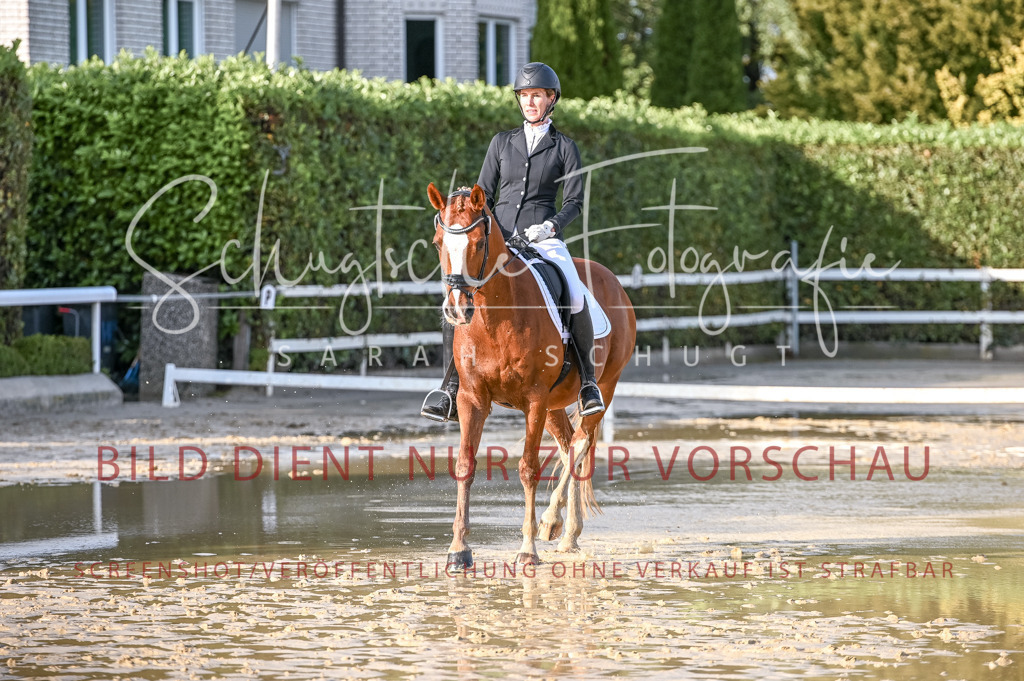 Schugtsche-Aluta25-54.Dressurprf.L1Trense-277 | Schugtsche Fotografie - Realisiert mit Pictrs.com