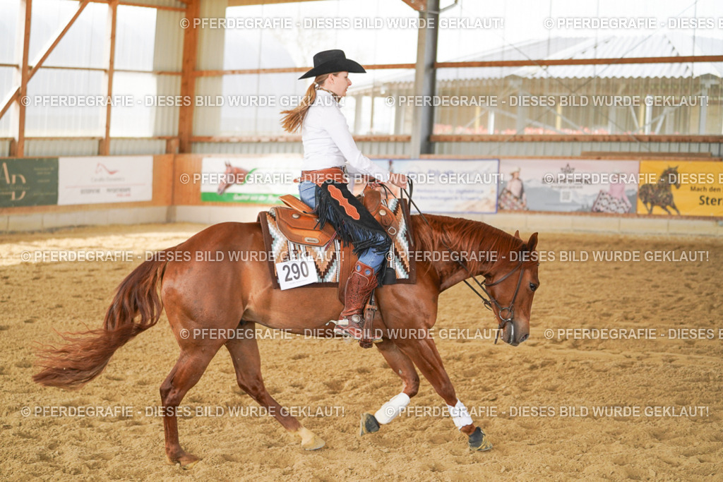 DSC06079 | Pferdegrafie