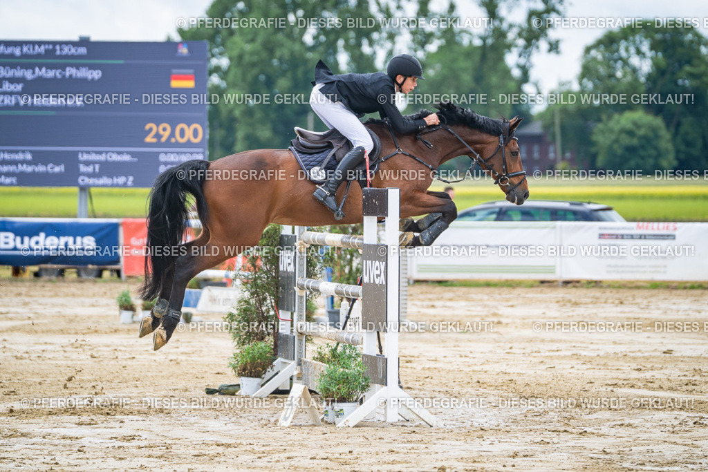 DSC04575 | Pferdegrafie