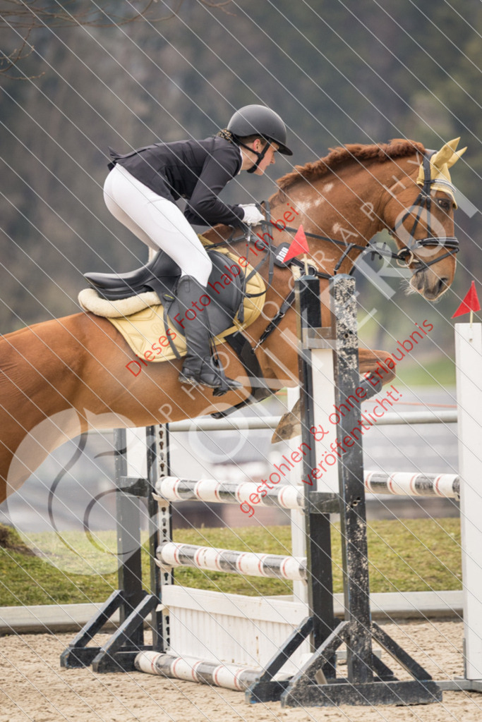 CON_1694 | Sport-, Event- und Tierfotos in Profiqualität. Einfach auswählen, bestellen und herunterladen. Dein Moment – perfekt festgehalten.