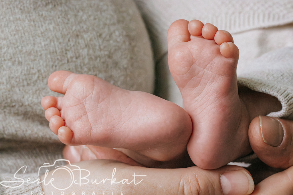20260418-IMG_0218 | Authentische, natürliche und emotionale Fotoshootings auf der Nordseeinsel Föhr. Als Fotografin halte ich deine schönsten Momente in einzigartigen Neugeborenen-, Familien-, Paar- und Einzelshootings fest. Jetzt einen Termin vereinbaren!