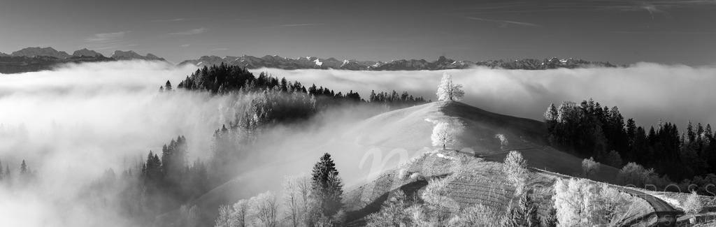 20241130-Emmental-69-Pano | Die ideale Geschenkidee für Naturliebhaber. Naturbilder von Marcel Gross Photography für ihr Zuhause in den verschiedensten Formaten und Materialien. - Realisiert mit Pictrs.com