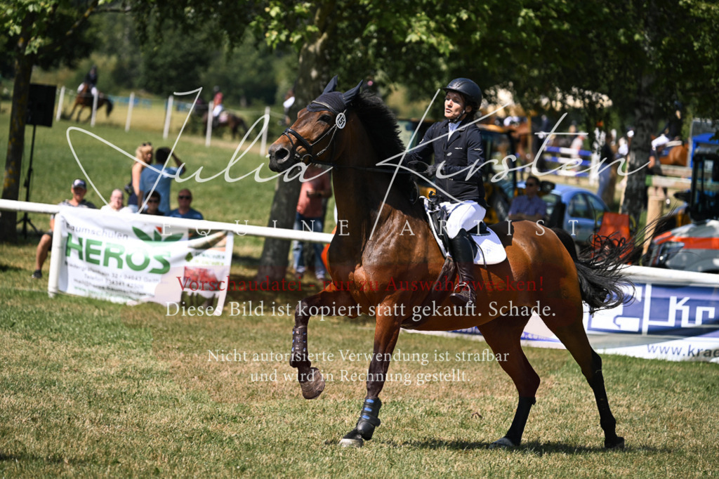 DSC_0176 | Pferde- und Turnierfotografie in Westsachsen. Pferdeportraits, Auftragszeichnungen und intuitive Kunst.