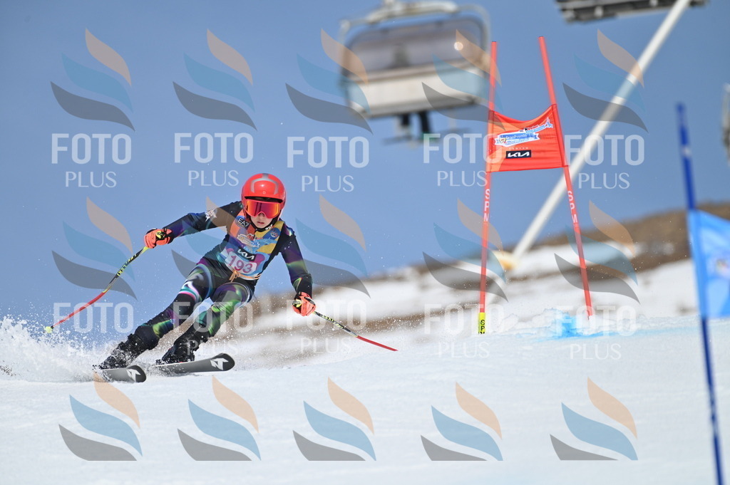 BGV_0853 | holidayphoto