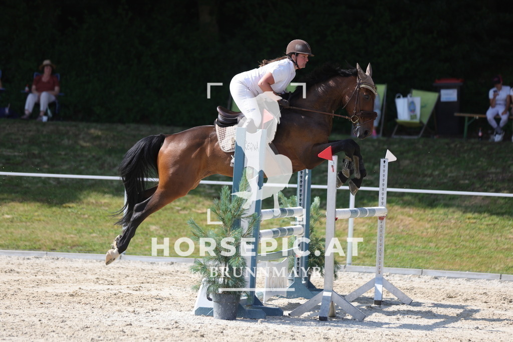 0P6A0961 | Willkommen bei Brunnmayr - Design & Fotografie – Ihrem Spezialisten für Reitturniere und Pferdeveranstaltungen in Oberösterreich, Salzburg und Bayern! Seit über 17 Jahren sind wir leidenschaftlich dabei.