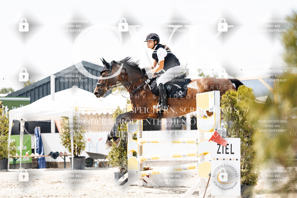 CK908106 | Turnierfotografie Pferdefotografie Trier Rheinland-Pfalz Pferdesport Reitsport Tierfotografie Sportfotografie Pferdevideo Pferdevideografie Equestrianvideography equestrianphotography  - Realisiert mit Pictrs.com