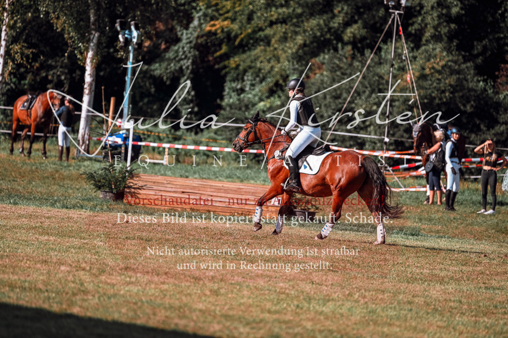 DSC_0605 | Pferde- und Turnierfotografie in Westsachsen. Pferdeportraits, Auftragszeichnungen und intuitive Kunst.