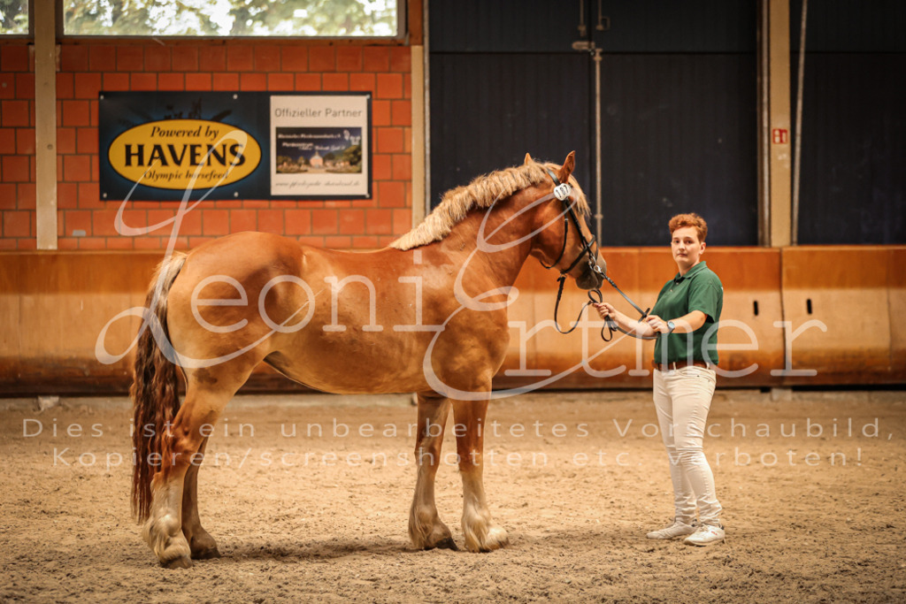 SaFL00159 | Leoni Ertmer Photography - Realisiert mit Pictrs.com