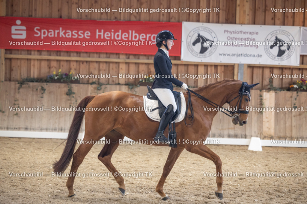 _D5A1689 | Emotionale Pferde- & People-Fotografie rund um Heidelberg, Leimen & Umgebung. Natürliche Fotos von Pferd, Mensch & Familie. Jetzt Termin sichern!