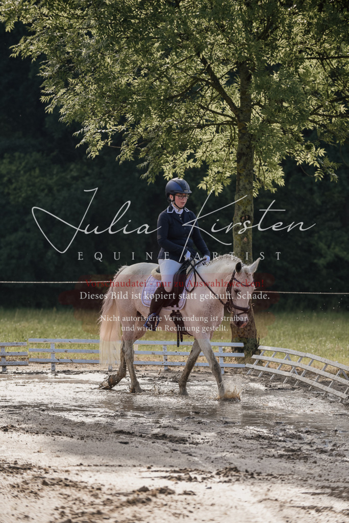 DSC_7930 | Pferde- und Turnierfotografie in Westsachsen. Pferdeportraits, Auftragszeichnungen und intuitive Kunst.