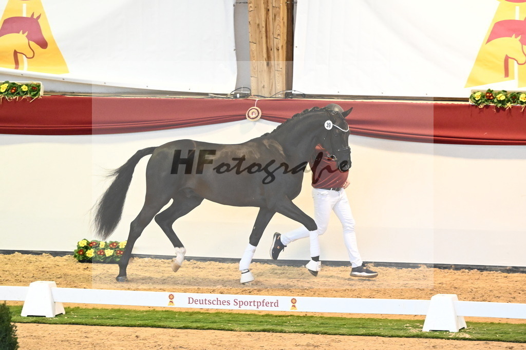 Kat.-Nr. 39 v. Dimaggio Black_Berger und Kopp_2240452 | hf-fotografie - Realisiert mit Pictrs.com