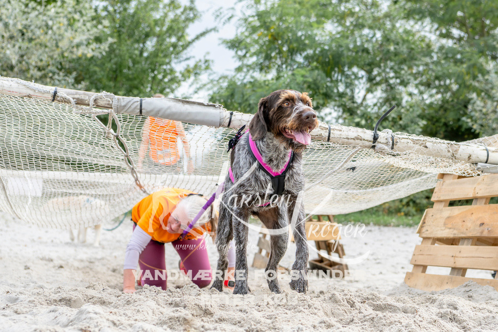 1503_ZZ92665 | kk-dogfotos