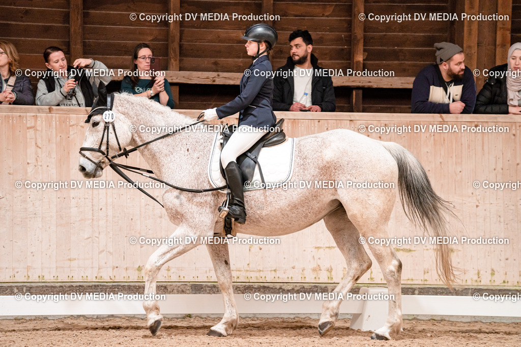 Dressur Tag 2-580 | dv-media-shop - Realisiert mit Pictrs.com