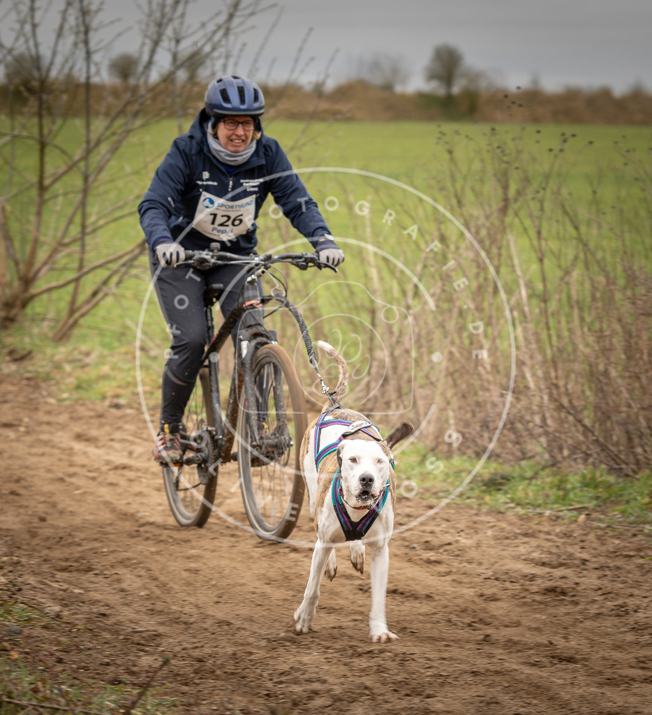 DV3A1607 | Hundefotografie, Tierfotograf, Pfotenfotografie, Fotoshooting Hund, Hunde Portrait, Hundesport, Hundeportraits, Heideshooting, Hunde, Sportfotograf, Hundefotograf, Turnierhundsport, THS,  - Realisiert mit Pictrs.com