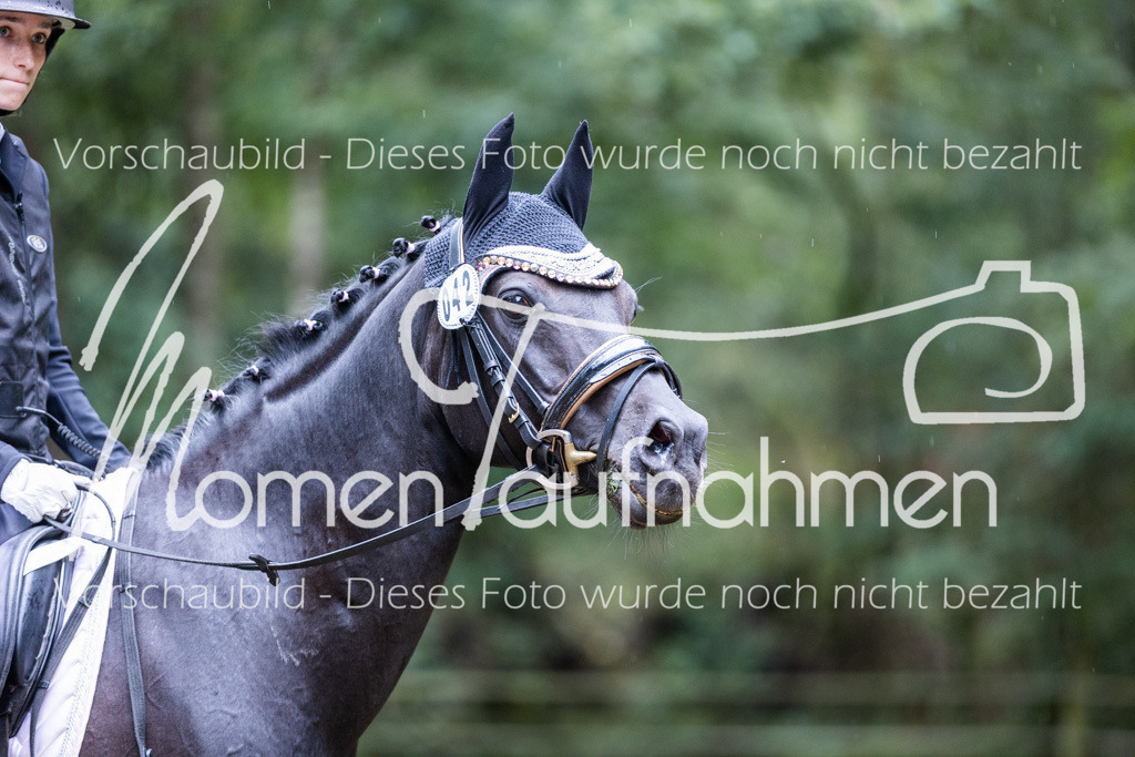 HB-Springreiter-014 | MomenTaufnahmen Pferdesportfotos