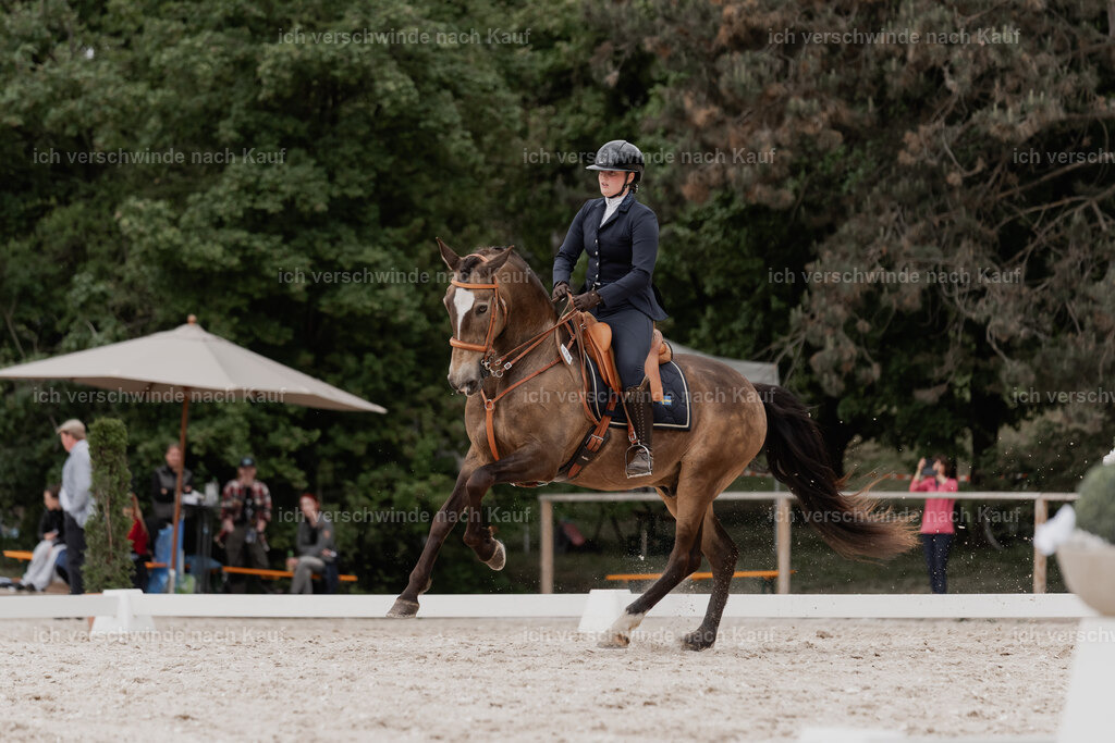 WE_DR_Stoib_329_PI2025_858 | Pferd International München 2025