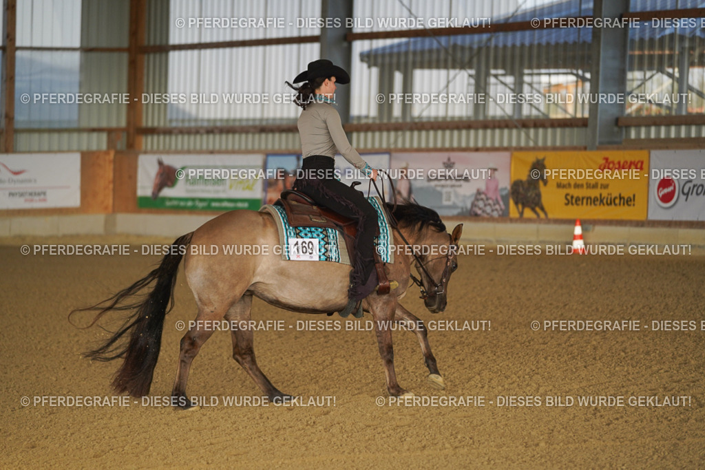 DSC07675 | Pferdegrafie