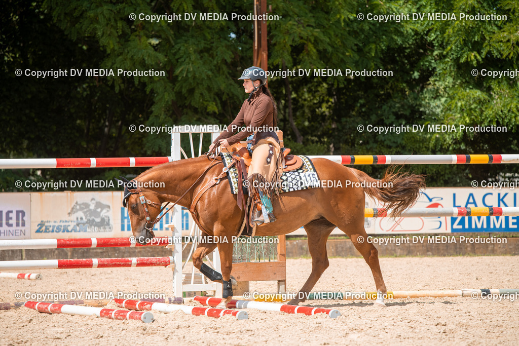 EWP_6664 | dv-media-shop - Realisiert mit Pictrs.com