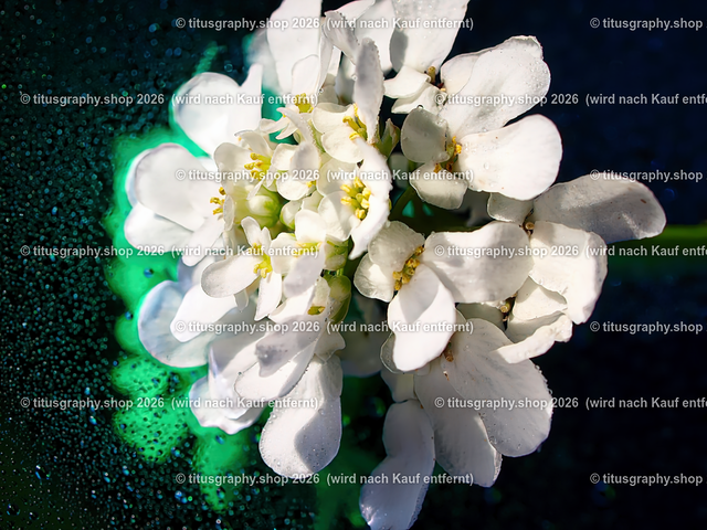 2024-05-09_10-b3_pe | Fotokunstarbeit aus der INSTAGRAM-Gallerie auf titusgraphy.eu - Realisiert mit Pictrs.com