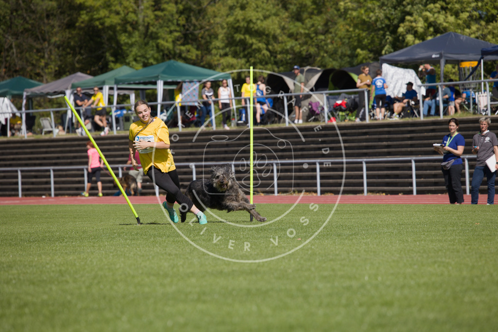 0L8A7223 | Hundefotografie, Tierfotograf, Pfotenfotografie, Fotoshooting Hund, Hunde Portrait, Hundesport, Hundeportraits, Heideshooting, Hunde, Sportfotograf, Hundefotograf, Turnierhundsport, THS,  - Realisiert mit Pictrs.com