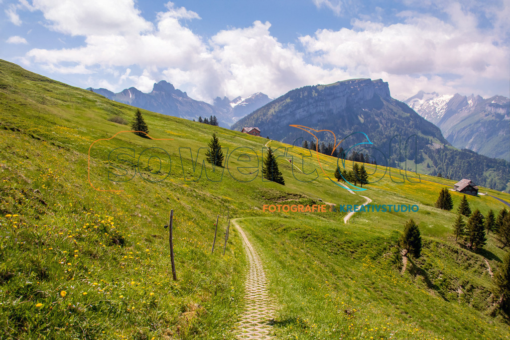 Alpstein – Weite grüne Landschaft ️ | Dieses Bild zeigt die sanfte, weite Schönheit des Alpstein-Gebiets: grüne Wiesen, sanfte Hügel und majestätische Berge im Hintergrund. Ein Panorama voller Ruhe, Weite und Naturverbundenheit – perfekt für alle, die die alpine Landschaft lieben und die frische Bergluft spüren möchten.
