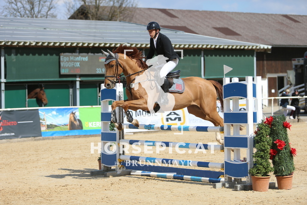 DL2Q9170 | Willkommen bei Brunnmayr - Design & Fotografie – Ihrem Spezialisten für Reitturniere und Pferdeveranstaltungen in Oberösterreich, Salzburg und Bayern! Seit über 17 Jahren sind wir leidenschaftlich dabei.