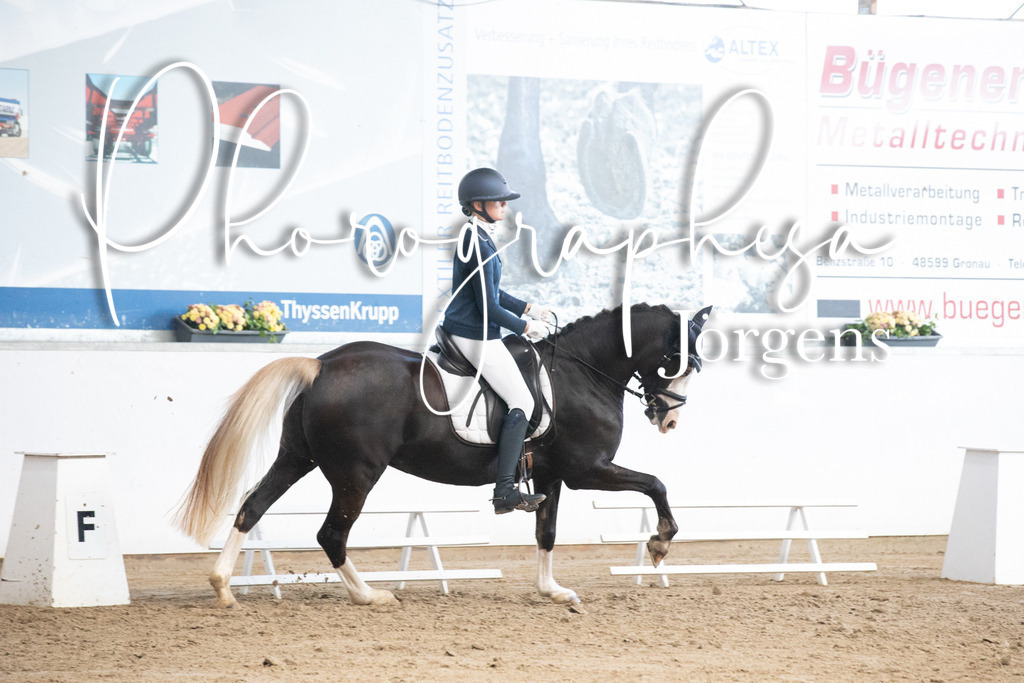 IMG_6037 | photographesa-joergens - Realisiert mit Pictrs.com