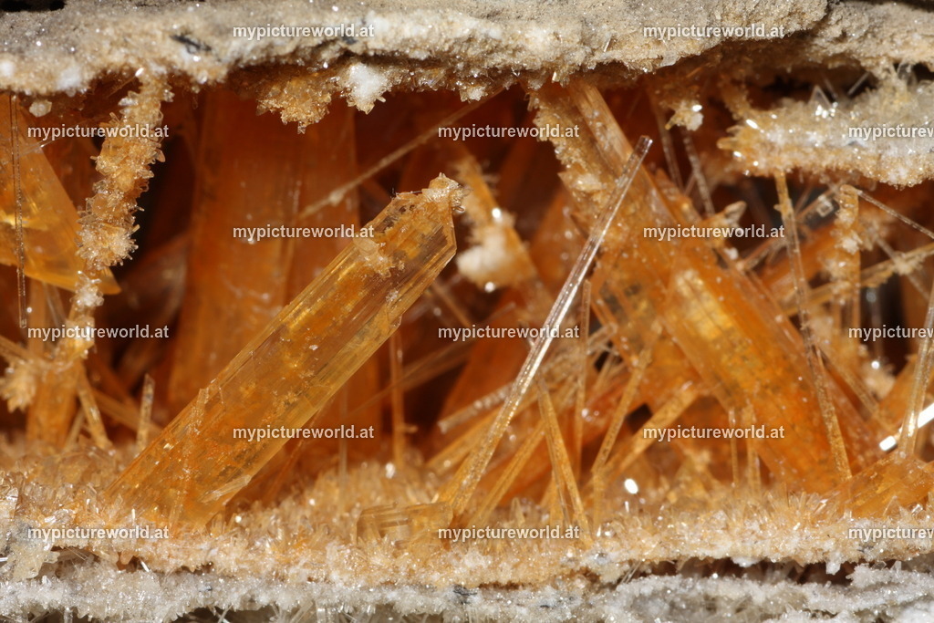 Gipsspat-008 | Das Bilderarchiv über Tiere, Planzen und Landschaften. In der Bilddatenbank finden Sie ein große Auswahl an hochwertigen Bilder für Ihre Werbung - Realisiert mit Pictrs.com