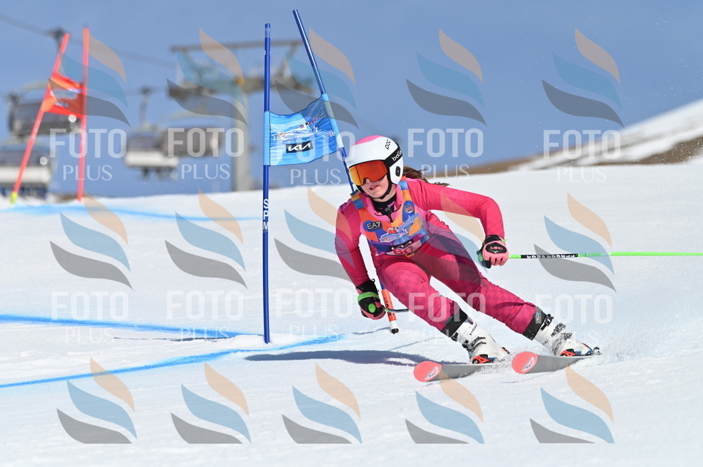 BGV_8724 | holidayphoto