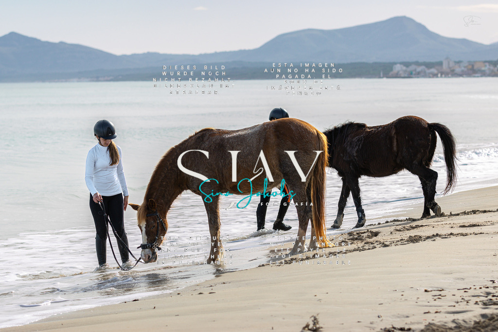 IMG_2991 | s-jay-photography - Realisiert mit Pictrs.com