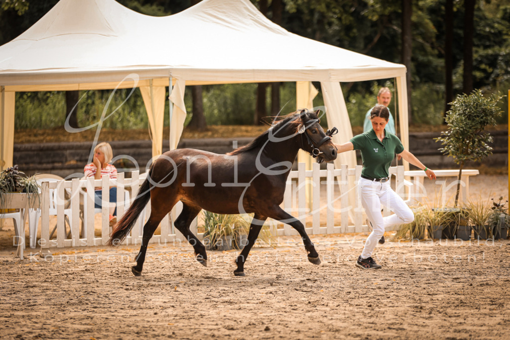 03.So00116 | Leoni Ertmer Photography - Realisiert mit Pictrs.com