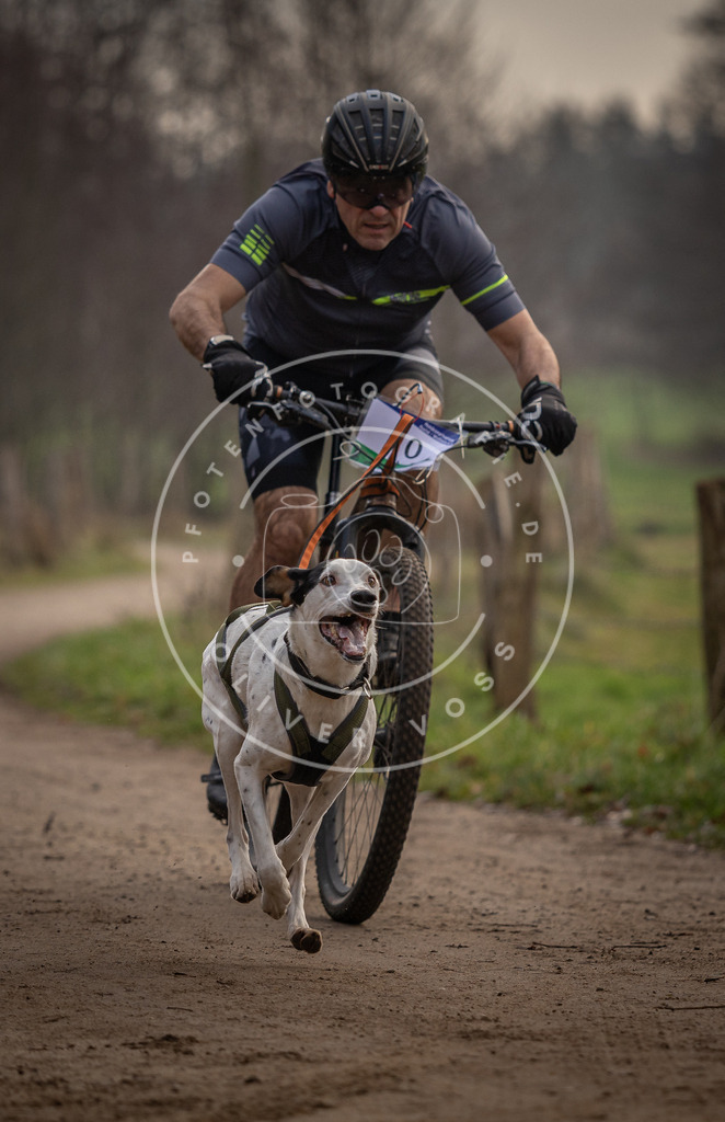 Pfotenfotografie_DV3A1734 | Hundefotografie, Tierfotograf, Pfotenfotografie, Fotoshooting Hund, Hunde Portrait, Hundesport, Hundeportraits, Heideshooting, Hunde, Sportfotograf, Hundefotograf, Turnierhundsport, THS,  - Realisiert mit Pictrs.com