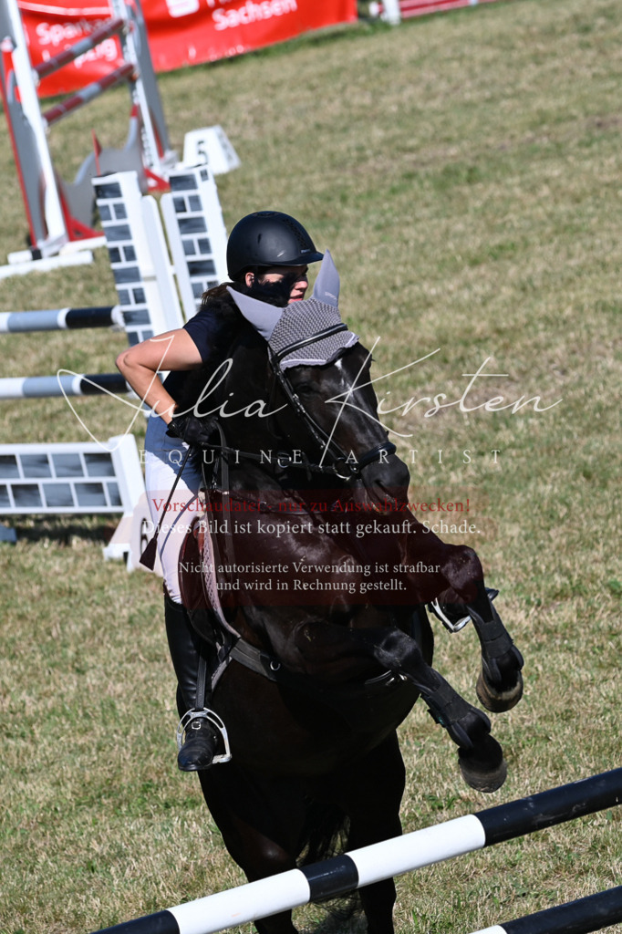 DSC_2470 | Pferde- und Turnierfotografie in Westsachsen. Pferdeportraits, Auftragszeichnungen und intuitive Kunst.