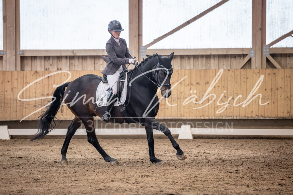 20251011-_3LI1904 | Tierfotografie Pferde, Hunde, Katzen, Haustiere.
Turnierfotografie Reitturniere, Reiten, Springreiten, Dressur in Hanau, dem Main-Kinzig-Kreis und dem Rhein-Main- Gebiet um Frankfurt