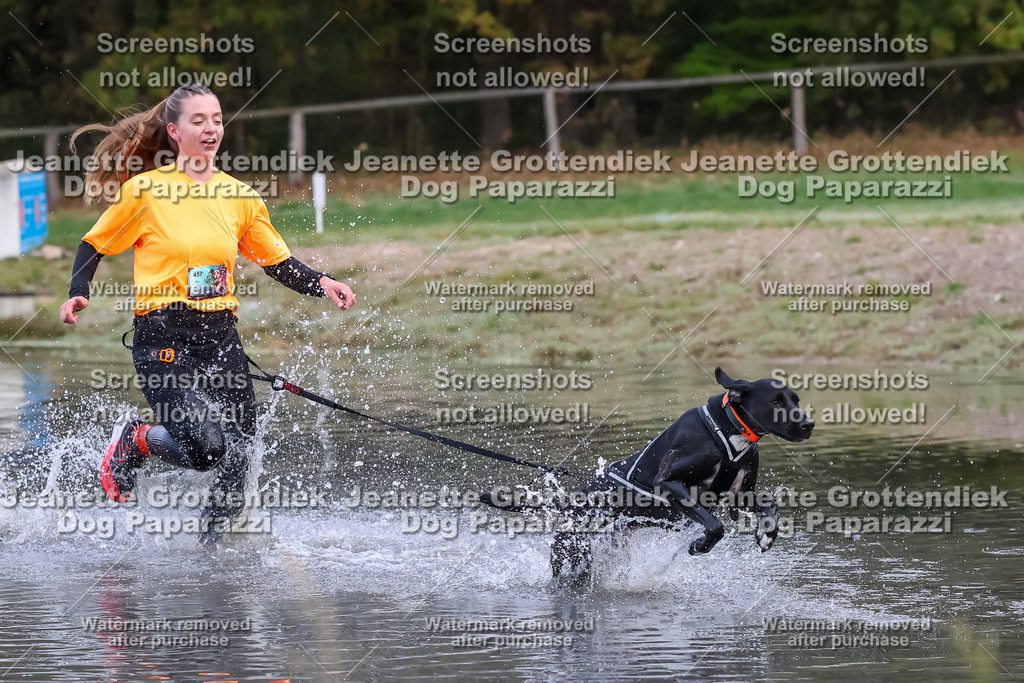 Dog Paparazzi - Strongdog 10-25-6325 | Dog Paparazzi Jeanette Grottendiek Fotografie & Videografie - Realisiert mit Pictrs.com