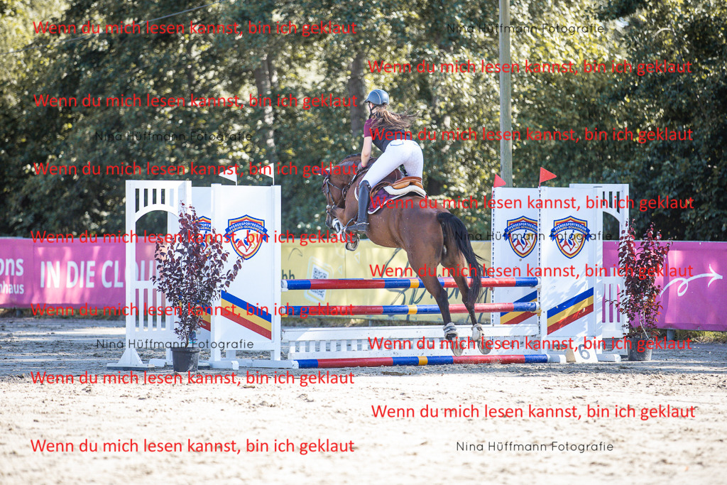 BK1A7228 | Turnierbilder Turnierfotos Nina Hüffmann Turnierfotografie Pferdefotografie Tierzeichnung Haustierzeichnung Pferdezeichnung Hundezeichnung Videograf  - Realisiert mit Pictrs.com