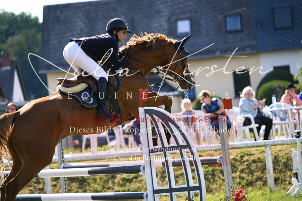 DSC_1227 | Pferde- und Turnierfotografie in Westsachsen. Pferdeportraits, Auftragszeichnungen und intuitive Kunst.