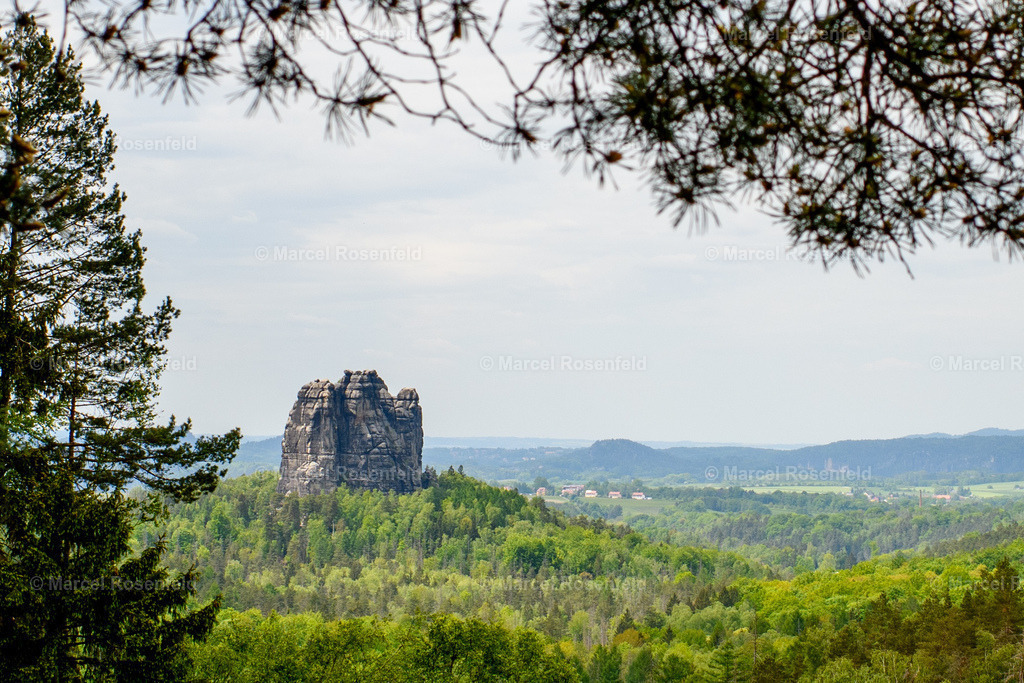 _DSC5051 | foto-rosenfeld