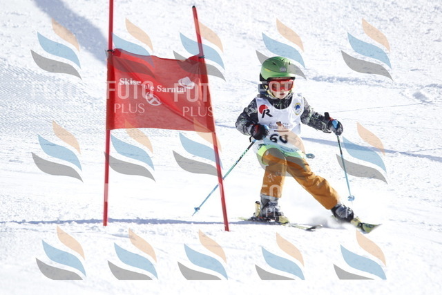 A8525 | holidayphoto